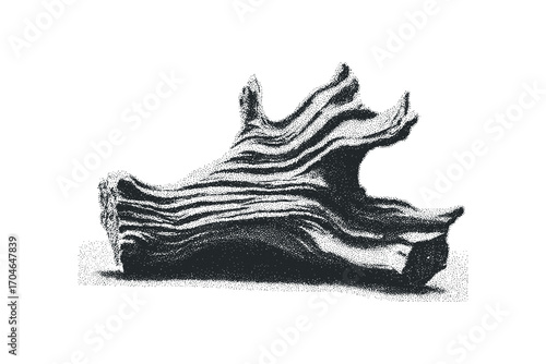 Stippled wood fragment graphic. Vector hand drawn illustration