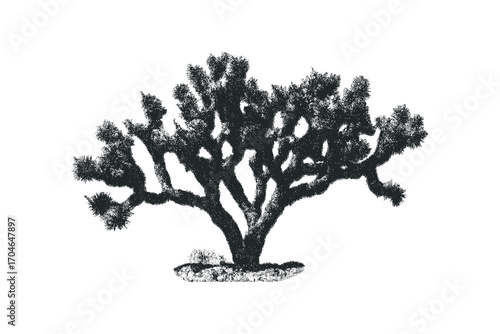 Textured Joshua Tree Silhouette on Transparent Background. Vector hand drawn illustration