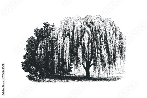 Stippled Tree Branching with Cascading Leaves. Vector hand drawn illustration