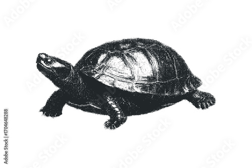 Monochromatic Halftone Textured Turtle. Vector hand drawn illustration