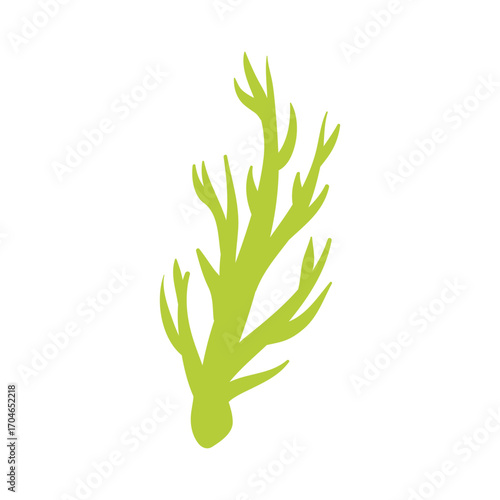 Seaweed logo EPS template icons vector illustration transparent background