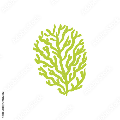 Seaweed logo EPS template icons vector illustration transparent background