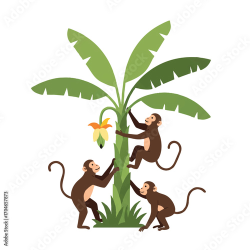 Vibrant 2D flat vector illustration depicts three monkeys interacting around a tall banana tree; one climbs, one eats, one looks up, set against a white background.