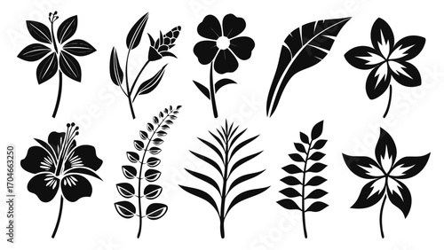 Variety of Floral and Leaf Silhouettes flower botanical