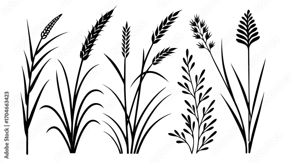 Obraz premium Abstract White Streaks on Black Background lines light