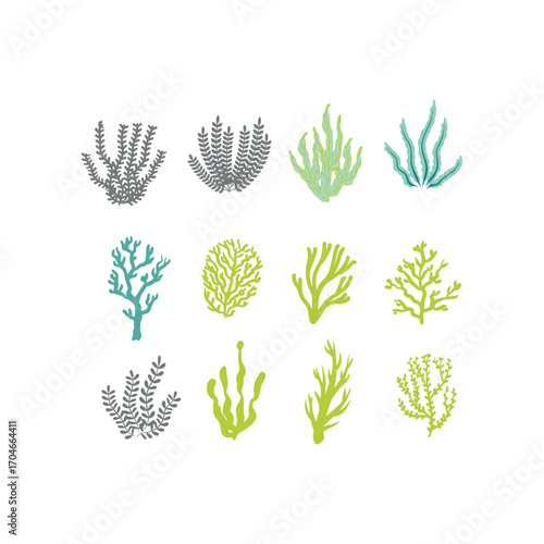 Seaweed set logo EPS template icons vector illustration transparent background