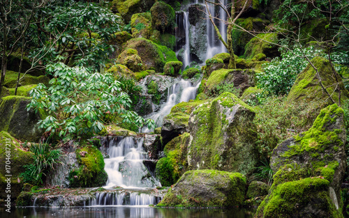 small waterfall in the forest