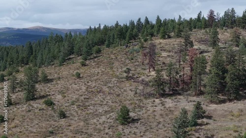 Drone shot of mountains, trees, and scrub growth