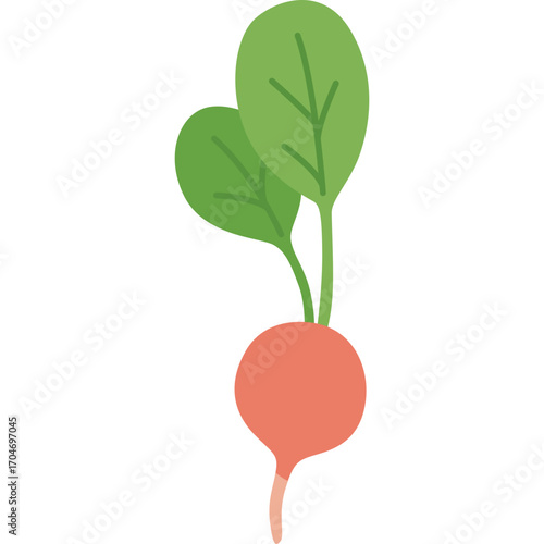 Red radish with green leaves, crisp vegetable illustration ideal for salad or raw food themes.

