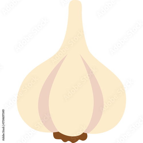 White garlic bulb with layered skin, aromatic spice illustration perfect for cooking or food themes.