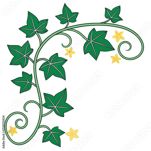 Green ivy vine climbs and curves alongside gentle yellow blossoms on a transparent background