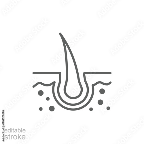 Hair follicle icon. Simple outline style. Dermatology, nourish, science, spa, medical, beauty, medicine, skin, growth, health element concept. Thin line symbol. Isolated design editable stroke.