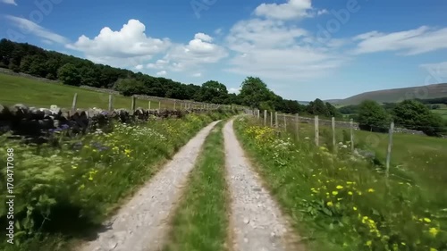 Rural country lane with wildflowers