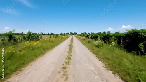 Rural country road under sunny sky