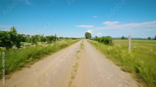 Rural dirt road landscape with green fields and blue sky
