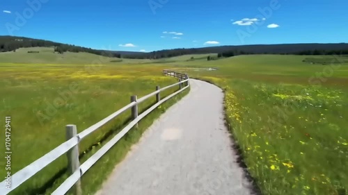 Scenic countryside pathway through meadow