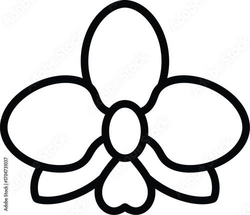 Orchid flower vector graphic illustration design