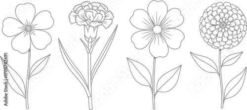 Collection of four delicate line art flowers with stems and leaves on a white background