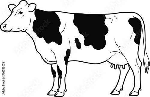 Black and white illustration of a healthy dairy cow standing peacefully.