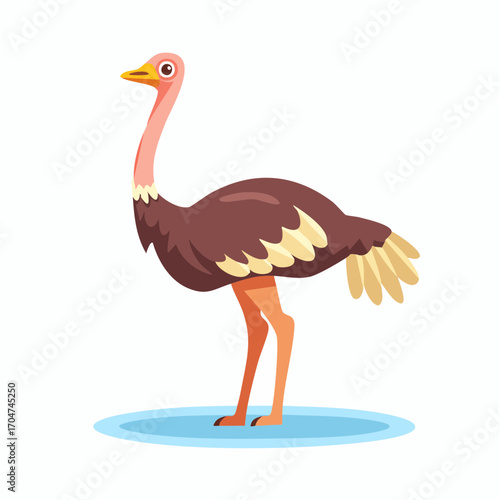 Ostrich Illustration in Flat Vector Large Bird Animal Design
