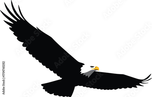 A sleek, modern black silhouette crafted in vector style, offering a versatile graphic element for various design projects and creative applications.