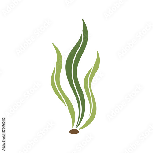 Elegant Seaweed Illustration - A Natural Aquatic Design.