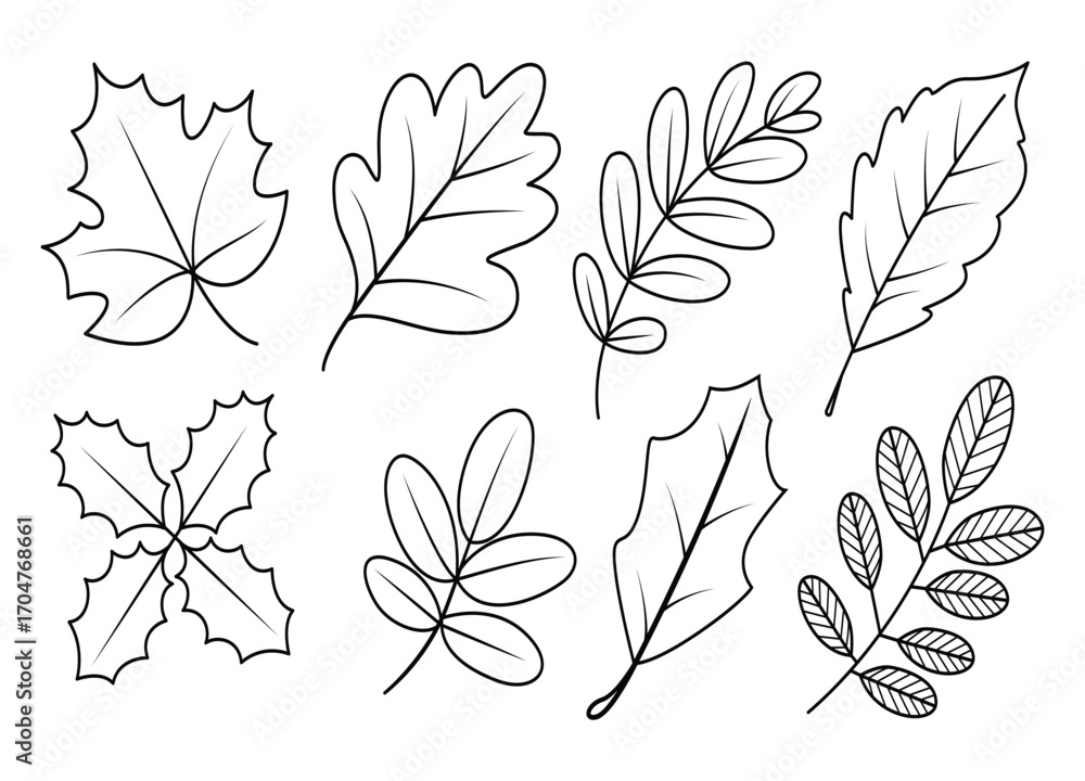 Obraz premium Collection of Diverse Leaf Outlines for Botanical Illustrations and Creative Projects black and white line drawing elements