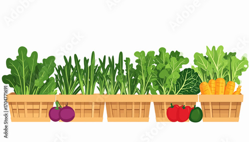 A vibrant illustration of a garden bed filled with various fresh vegetables and leafy greens, including carrots, peppers, and eggplants, ready for harvest.