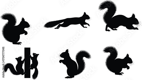 Playful silhouette collection of squirrels in various active poses