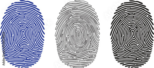 Unique fingerprint patterns in blue, gray, and black showcase individuality and identity.