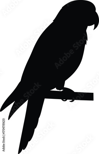 Collection of black vector silhouettes in a modern style, suitable for various design projects, icons, or AI art prompts.