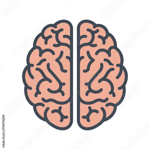 A stylized illustration of a human brain, divided into two hemispheres, showcasing its intricate surface details.