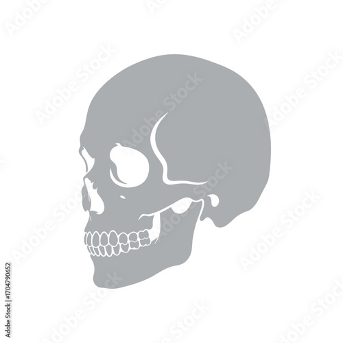 A gray skull illustration depicted in a side profile, set against a white background.