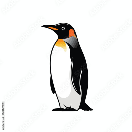 A detailed illustration of a King Penguin standing in profile view with orange and yellow markings.