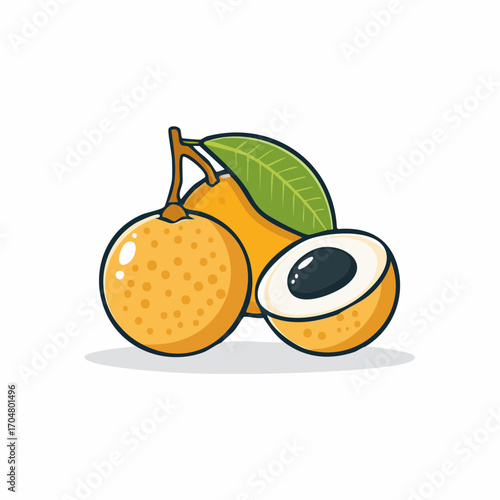 Cartoon vector illustration of tropical longan fruit. Two whole fruits on a branch with a green leaf and one sliced open to show the pulp and seed