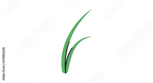 Graceful green blades of grass sway gently, adding a touch of natural elegance to your designs, perfect for eco-friendly themes, springtime projects, and vibrant nature-inspired visuals