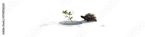 Turtle crawling on puddle with plant