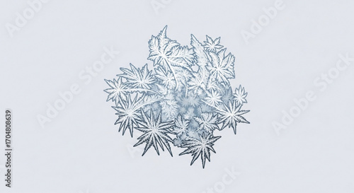 Intricate frost pattern of leaves creates a delicate, wintery design perfect for elegant seasonal cards, festive banners, or cool, contemporary stationery; a stunning display of nature's artistry