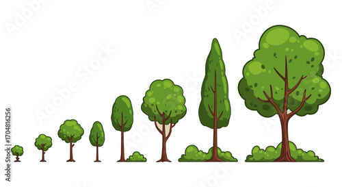 tree growth stages cartoon illustration of a tree sapling growing into a mature tree with lush foliage showcasing the lifecycle ideal for ecology projects