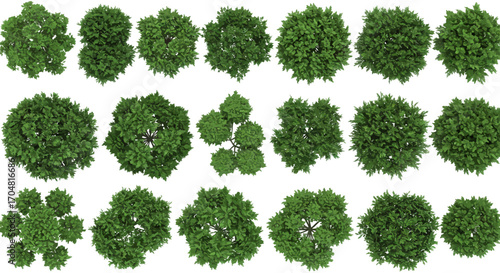 trees from above aerial view of lush green treetops providing natural landscaping perfect for architectural plans and 3d rendering projects.