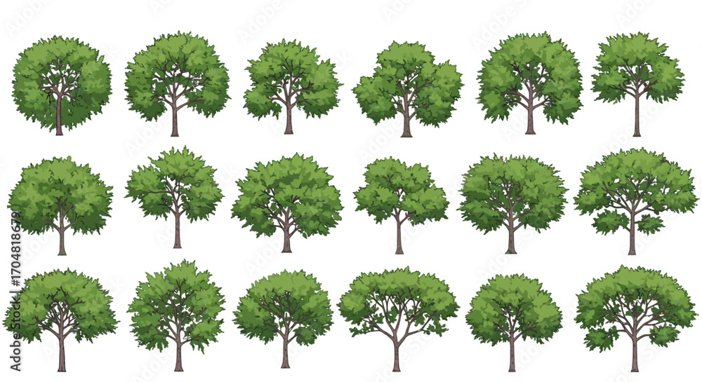 Fototapeta premium illustration of trees diverse trees in varying shapes offering greenery for nature scenes ideal for background textures and environmental designs.