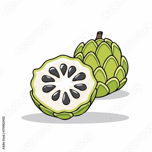 Fresh tropical atemoya fruit illustration, whole and sliced in half to show the sweet white pulp and black seeds