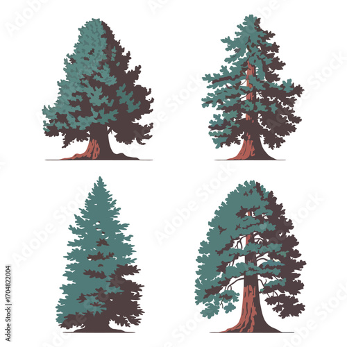 Four distinct evergreen trees illustrated on white background