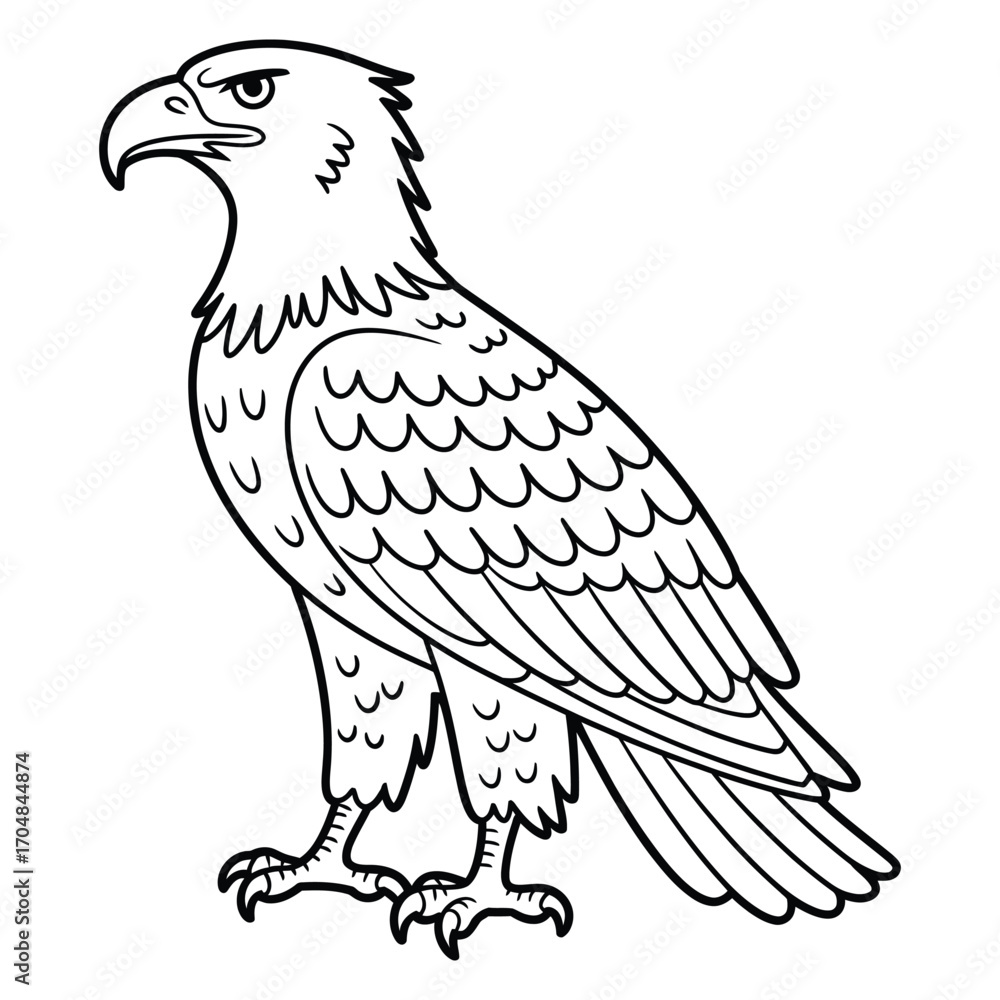 Fototapeta premium Detailed black and white illustration of a majestic eagle standing proudly
