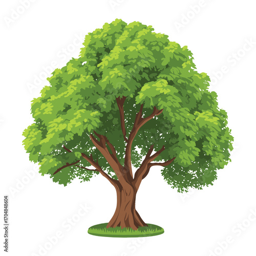 A vibrant and leafy green tree with a sturdy brown trunk, symbolizing nature, growth, and the environment in summer. vector illustration