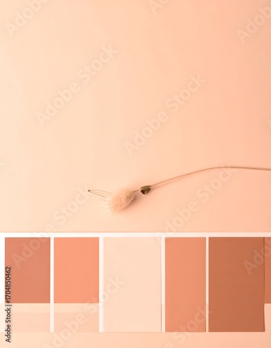 Peachy color palette with dried flower