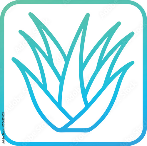 Aloe vera leaf icon with teal blue gradient outline on a white background herbal symbol