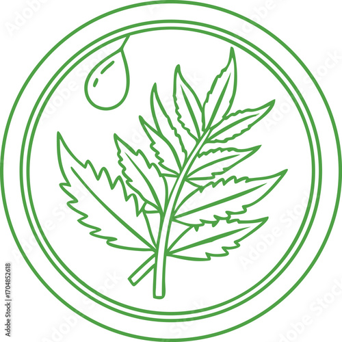 Green Neem Leaf and Droplet Icon on White Background medicinal herb