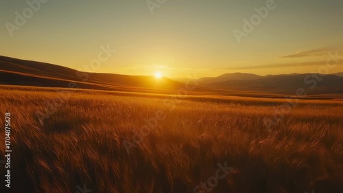 Golden hour over wheat field hills, cinematic beauty in tranquil rural scenery