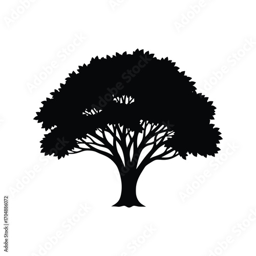 Silhouette of a large, mature tree with a dense, rounded canopy, isolated on white background the tree has a sturdy trunk and thick branches